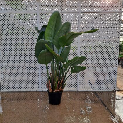 Bird of Paradise PRICE: $350
