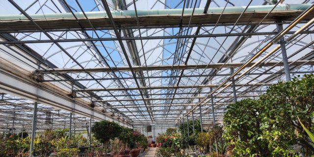 Welcome to Gardens at Cheshire