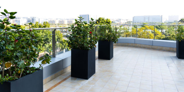 Modern apartment balcony with potted plants Modern apartment balcony with potted plants.